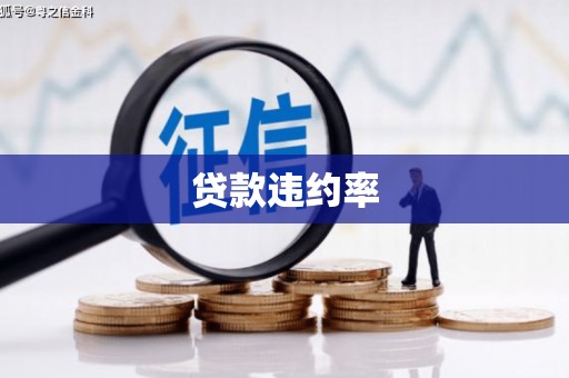 洋山贷款违约率