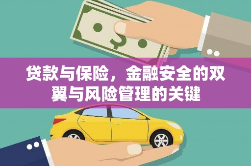 洋山贷款与保险，金融安全的双翼与风险管理的关键