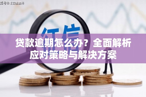 洋山贷款逾期怎么办？全面解析应对策略与解决方案