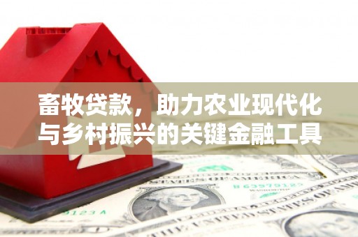 洋山畜牧贷款，助力农业现代化与乡村振兴的关键金融工具