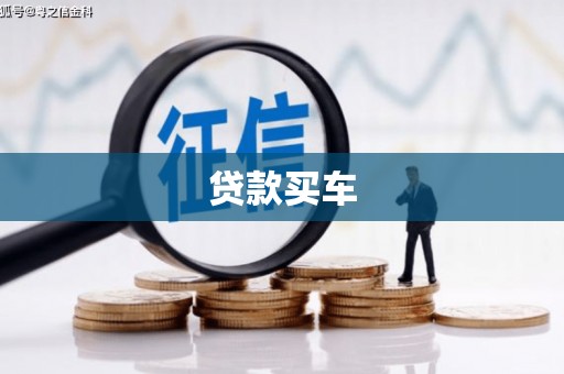 洋山贷款买车