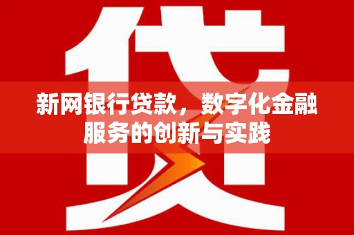 洋山新网银行贷款，数字化金融服务的创新与实践