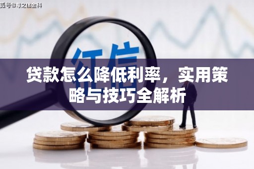 洋山贷款怎么降低利率，实用策略与技巧全解析