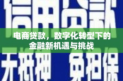 洋山电商贷款，数字化转型下的金融新机遇与挑战