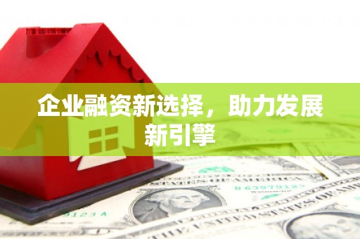 洋山企业融资新选择，助力发展新引擎