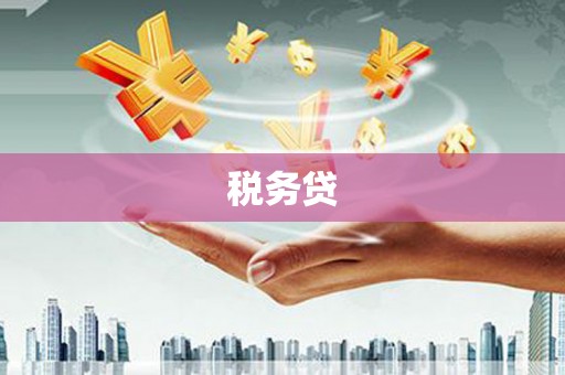 洋山税务贷