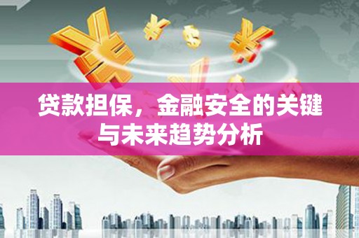 洋山贷款担保，金融安全的关键与未来趋势分析