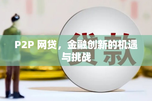 洋山P2P 网贷，金融创新的机遇与挑战
