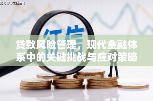 洋山贷款风险管理，现代金融体系中的关键挑战与应对策略