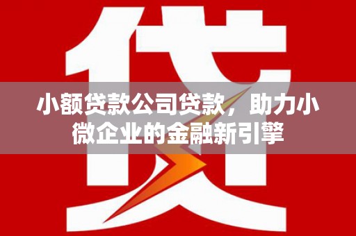 洋山小额贷款公司贷款，助力小微企业的金融新引擎