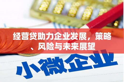 洋山经营贷助力企业发展，策略、风险与未来展望