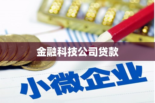 洋山金融科技公司贷款