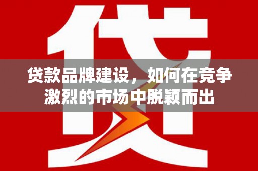洋山贷款品牌建设，如何在竞争激烈的市场中脱颖而出