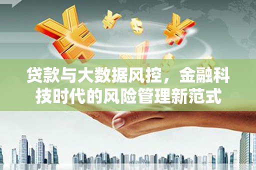 洋山贷款与大数据风控，金融科技时代的风险管理新范式