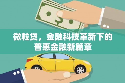 洋山微粒贷，金融科技革新下的普惠金融新篇章