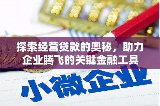洋山探索经营贷款的奥秘，助力企业腾飞的关键金融工具