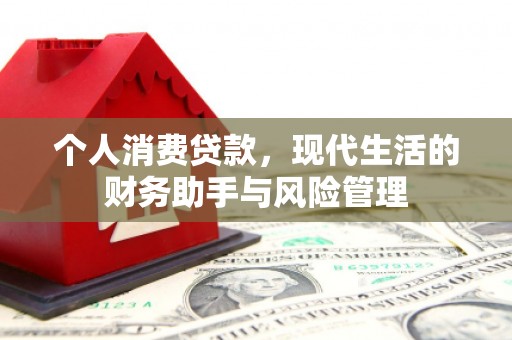 洋山个人消费贷款，现代生活的财务助手与风险管理