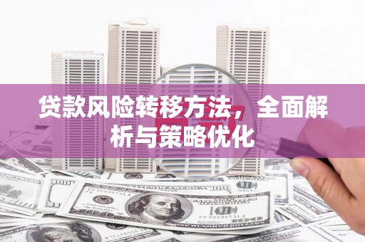 洋山贷款风险转移方法，全面解析与策略优化
