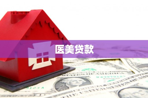 洋山医美贷款