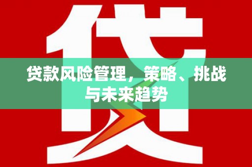 洋山贷款风险管理，策略、挑战与未来趋势
