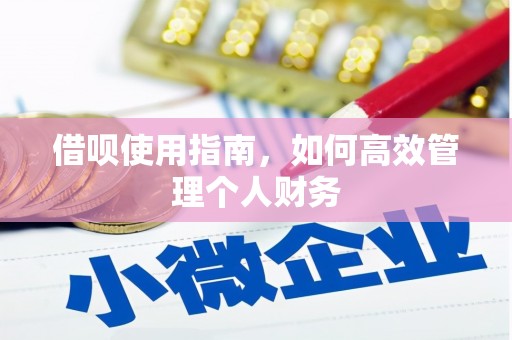 洋山借呗使用指南，如何高效管理个人财务