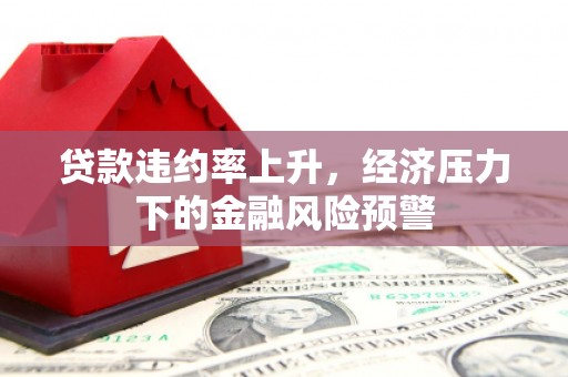 洋山贷款违约率上升，经济压力下的金融风险预警