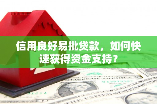 洋山信用良好易批贷款，如何快速获得资金支持？