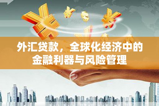 洋山外汇贷款，全球化经济中的金融利器与风险管理