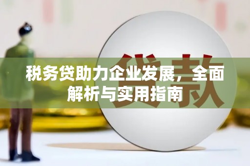 洋山税务贷助力企业发展，全面解析与实用指南