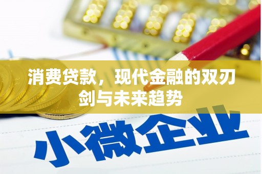 洋山消费贷款，现代金融的双刃剑与未来趋势