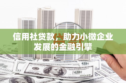 洋山信用社贷款，助力小微企业发展的金融引擎