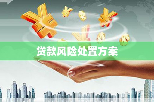 洋山贷款风险处置方案