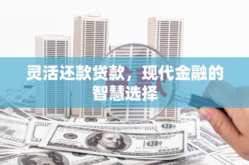 洋山灵活还款贷款，现代金融的智慧选择