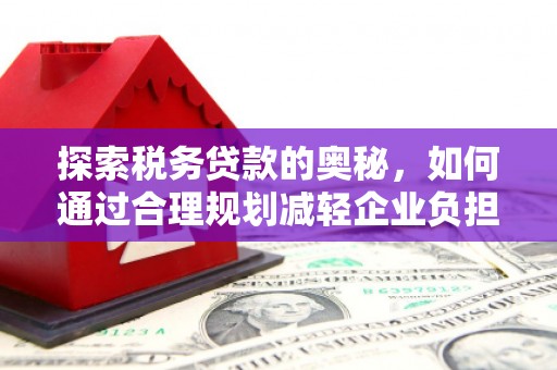 洋山探索税务贷款的奥秘，如何通过合理规划减轻企业负担