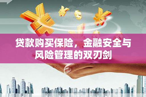 洋山贷款购买保险，金融安全与风险管理的双刃剑