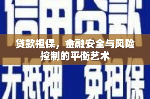 洋山贷款担保，金融安全与风险控制的平衡艺术