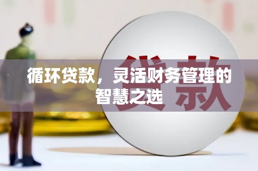 洋山循环贷款，灵活财务管理的智慧之选
