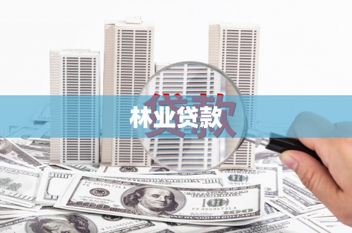 洋山林业贷款