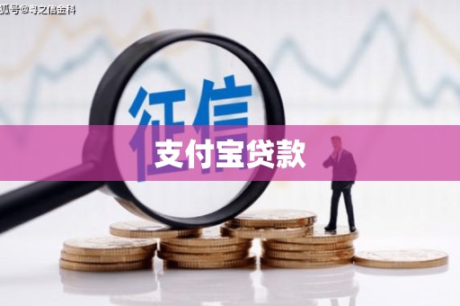 洋山支付宝贷款