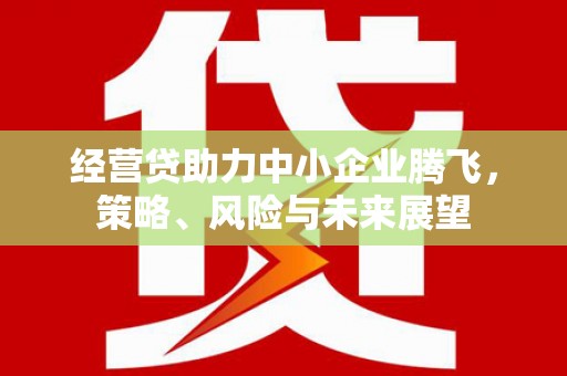 洋山经营贷助力中小企业腾飞，策略、风险与未来展望