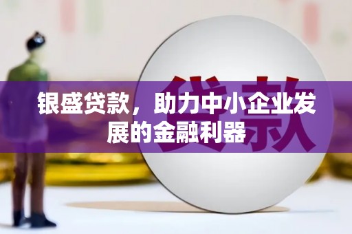洋山银盛贷款，助力中小企业发展的金融利器