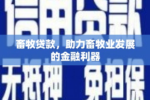 洋山畜牧贷款，助力畜牧业发展的金融利器