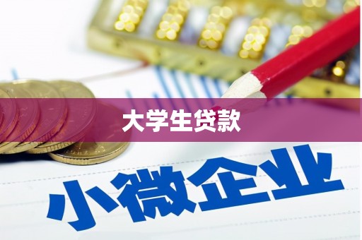 洋山大学生贷款