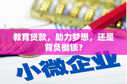 洋山教育贷款，助力梦想，还是背负枷锁？