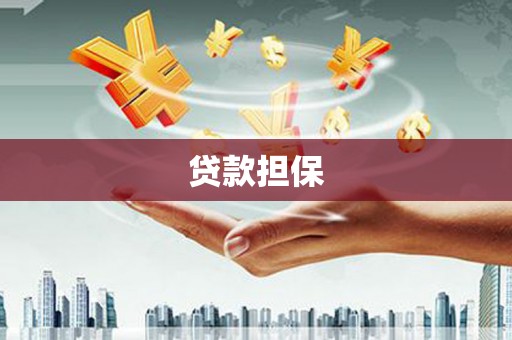 洋山贷款担保