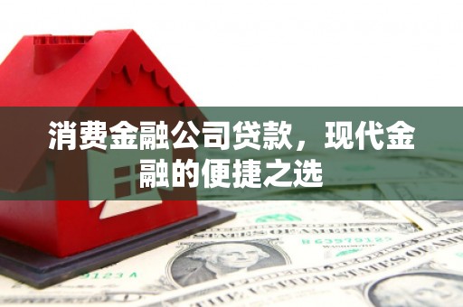 洋山消费金融公司贷款，现代金融的便捷之选