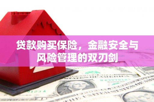 洋山贷款购买保险，金融安全与风险管理的双刃剑