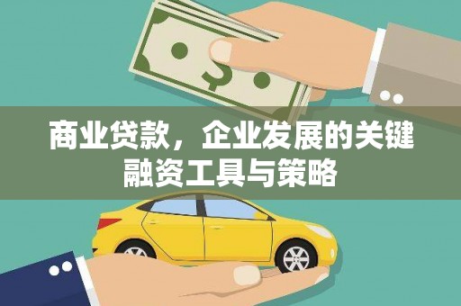 洋山商业贷款，企业发展的关键融资工具与策略