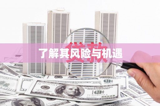 洋山了解其风险与机遇