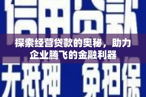 洋山探索经营贷款的奥秘，助力企业腾飞的金融利器